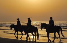 Private Horseback Riding in Muscat Beach