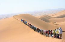 Morning Desert Walking Tour in Abu Dhabi with Camel Rides