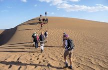 Morning Desert Walking Tour in Abu Dhabi with Camel Rides