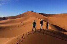 Morning Desert Walking Tour in Abu Dhabi with Camel Rides