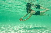 Punta Cana Private Catamaran with Snorkeling & Natural Pool