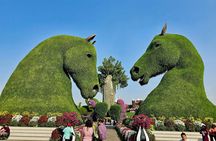 Dubai Combo: Dubai Frame with Miracle Garden Tickets