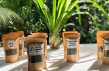 Ticote Medicine Farm Tour 