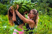 Ticote Medicine Farm Tour 