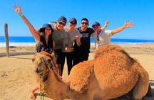 Luxury 4 Hour Private Tour of Tangier