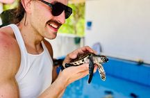 Nusa Penida Turtle Conservation, Massive Cave Temple