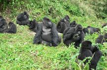 3 Day Gorilla Trekking and Lake Bunyonyi Adventure