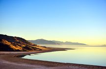 Antelope Island Sunset Wildlife Expedition Great Salt Lake Tour