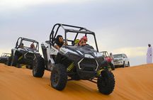 Morning Vip Red Dunes Safari: Camel Ride & Sandboarding Adventure