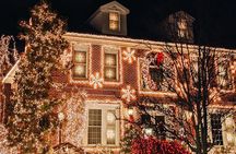 Tour New York City Contrasts and Dyker Heights Lights