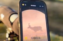 Big Sky Winter Wildlife Safari Lamar Valley Breakfast and Lunch