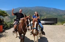 Ensenada Horseback Riding Adventure with Local Guide