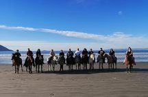 Ensenada Horseback Riding Adventure with Local Guide