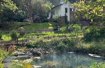 Bogota : thermals, relaxation day