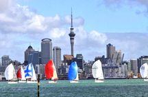 Auckland City Top Sights Half Day Tour - Small Group 