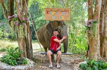 Half day visit Elephant Sanctuary Phuket (NO RIDING)