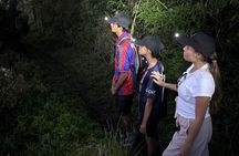 Bali's Ultimate Combo 4x4 Private Tour