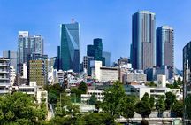 Tokyo Customizable Private One Day Walking Tour Hotel Pickup