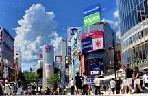Tokyo Customizable Private One Day Walking Tour Hotel Pickup