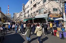 Tokyo Customizable Private One Day Walking Tour Hotel Pickup