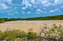 Explore Providenciales: 3-Hour Private Island Tour