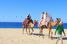 Pick 2 Adventure Combo! 