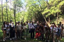 Day Tour from Tirana to Berat City Castle-Durres and Belsh lake 