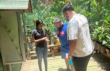 Custom Private Tour of Roatan Activities for the Whole Family