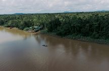 Sandakan Wild Cruise Ticket in Sunrise Sunset or Night Tour