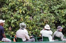 Sandakan Wild Cruise Ticket in Sunrise Sunset or Night Tour