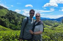 Cameron Highlands Day Tour from Ipoh -Tea Plantation