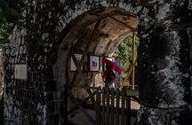 Open Air St. Kitts Tour with Island Vibes 