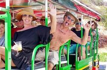 Open Air St. Kitts Tour with Island Vibes 