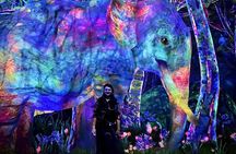 Tokyo: teamLab Planets & Toyosu Fish Market Guided Tour
