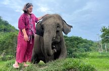 4 highlights: Sticky Waterfall/Elephants/local market /Wat Banden