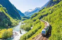 Private tour - Viking Village, Nærøyfjord Cruise & Flåm Railway