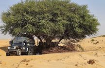 2 Days Desert Odyssey Camping Among Egypt’s Natural Wonders