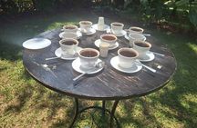 Private Tour to Fairview Coffee Farm Tour with Coffee Testing