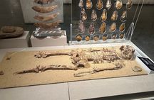 Cairo 8 Hour Private Tour of Pyramids & Egyptian Museum