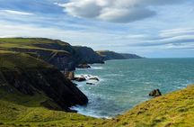 Castles, Coastline, Distillery and Whisky Tasting Private Tour