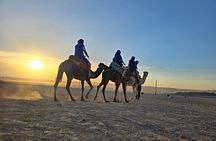 Private Agafay Desert Sunset Camel Ride 