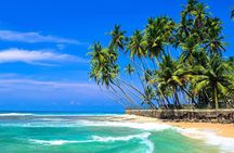 Explore Sri Lanka’s South Coast in One Day