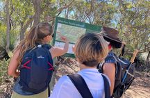 Deep Creek Hike: Trails and Tales with a Foreign Flair