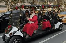 NYC: New York Christmas & Landmarks Guided City Tour by E-Cart