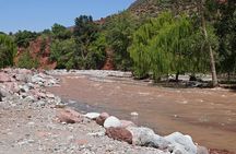 Ourika Guided Hike and Traditional Lunch by the River