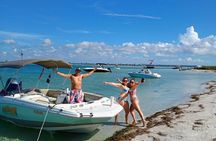 3-Hour Private Clearwater Beach Adventure – Dolphins & Sandbars