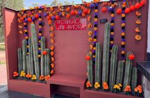 Balloon flight / Breakfast in the cave / CDMX pick-up + Pyramids