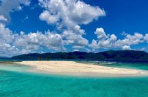 All Inclusive Day Sail to Soggy Dollar Bar, White Bay, JVD