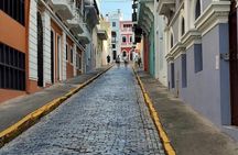 Half Day San Juan Driven Tour