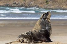 3 Day 2 Night New Zealand’s South Southern Highlights Tour